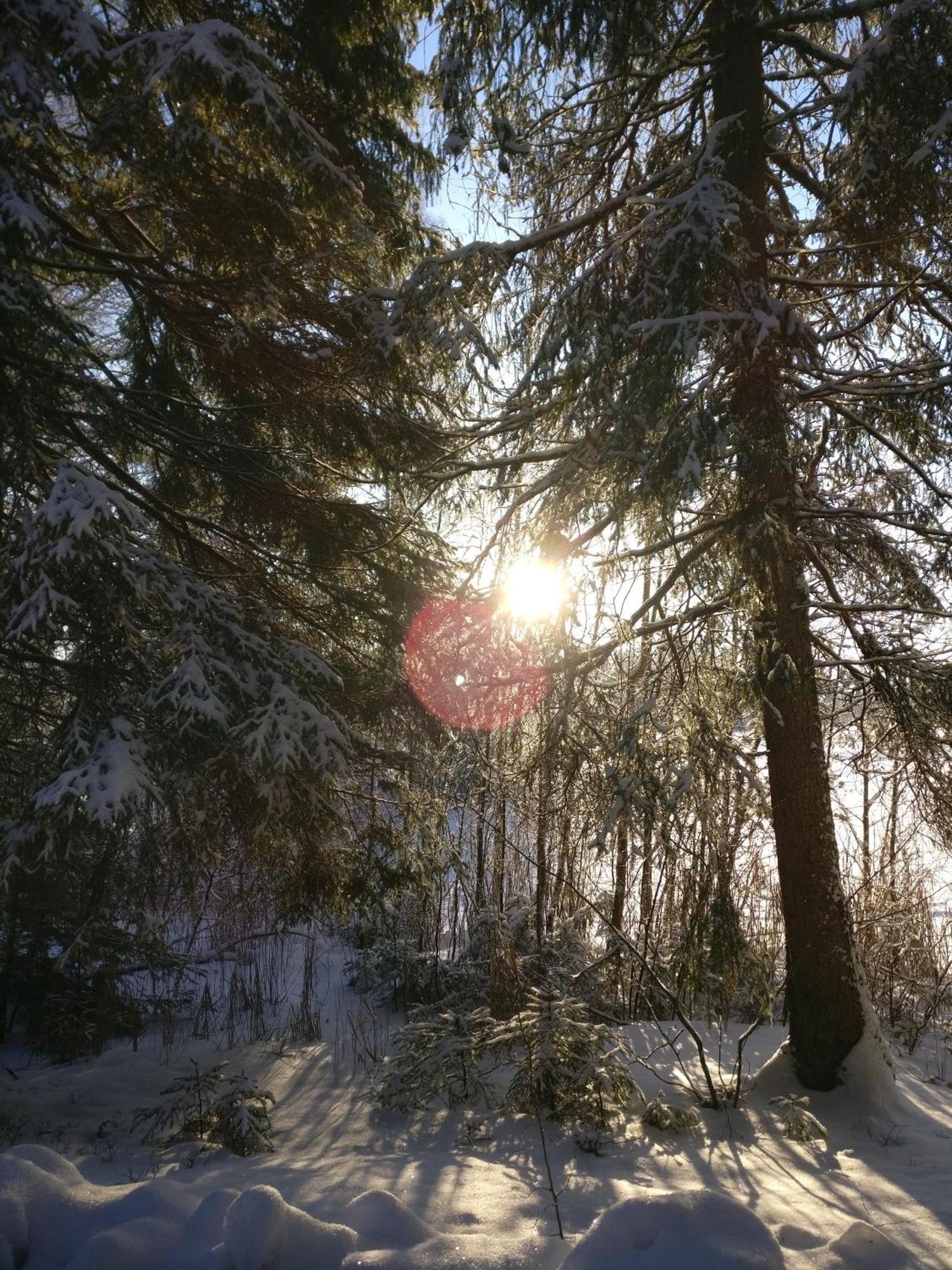 Private Lakeside Holiday Property In Nature Kankaanpää Екстериор снимка